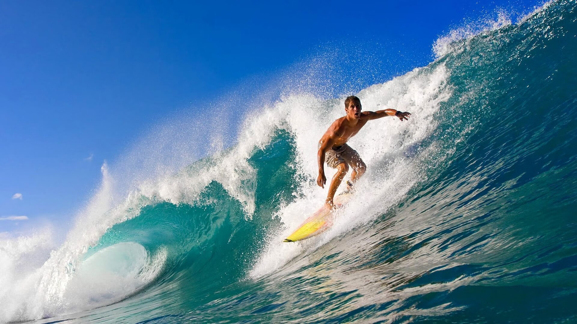 “阿根廷美洲狮队迎接未来:潜力与梦想并存”