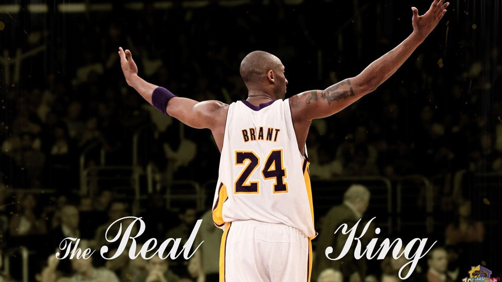 《堡垒之夜》全球巡回赛多场精彩瞬间回顾，堡垒之夜联赛